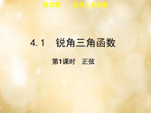 【最新湘教版精选】湘教初中数学九上《4.1正弦和余弦》PPT课件 (5).ppt