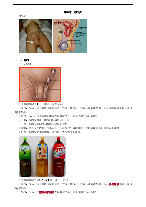 泌尿外科学相关专业知识--第五章 腹外疝