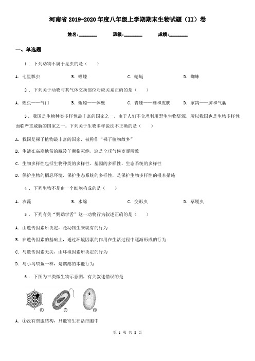 河南省2019-2020年度八年级上学期期末生物试题(II)卷