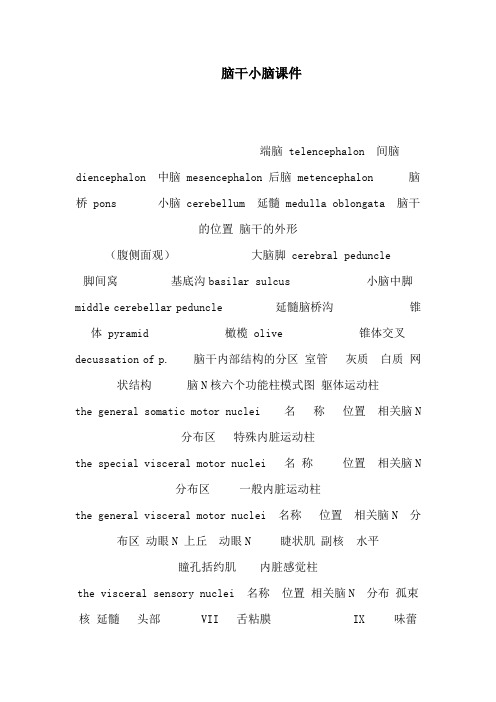 脑干小脑课件