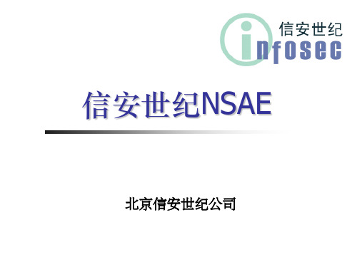 信安世纪NSAE
