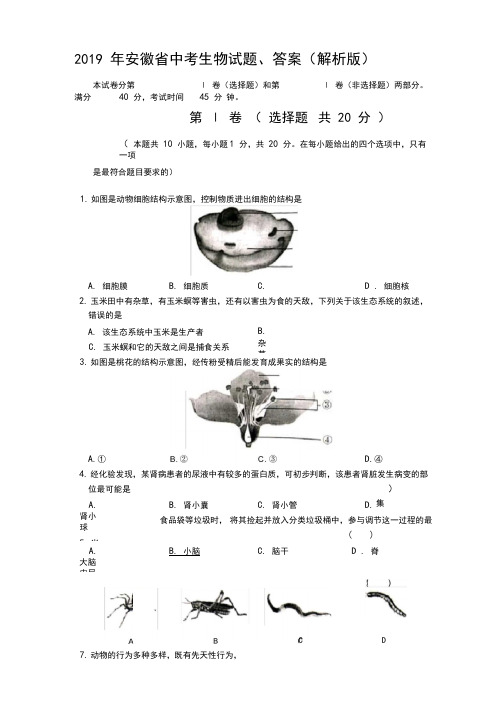 2019年安徽省中考生物试题、答案(解析版)