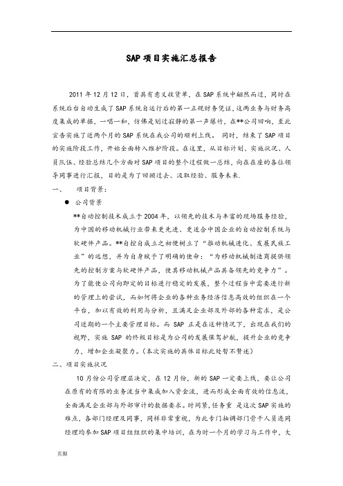 SAPERP项目上线总结报告