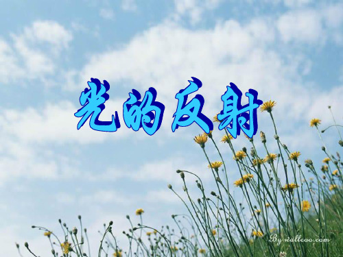 苏科版八年级上册物理：五、光的反射