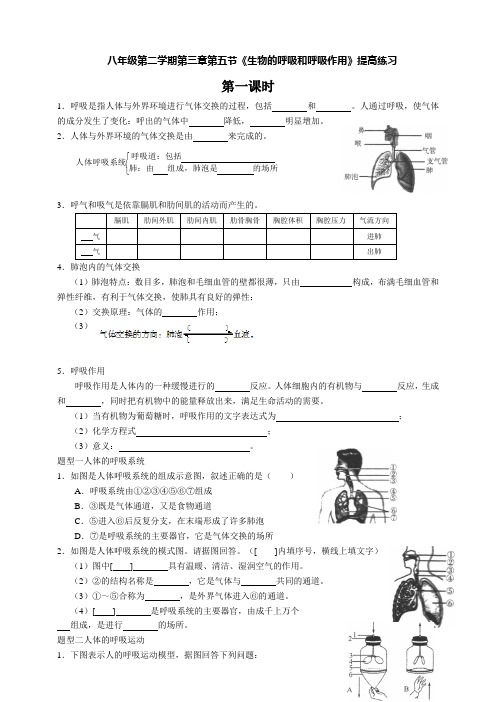 浙教版科学八年级第二学期第三章第五节生物的呼吸和呼吸作用-同步测试(一、二课时)