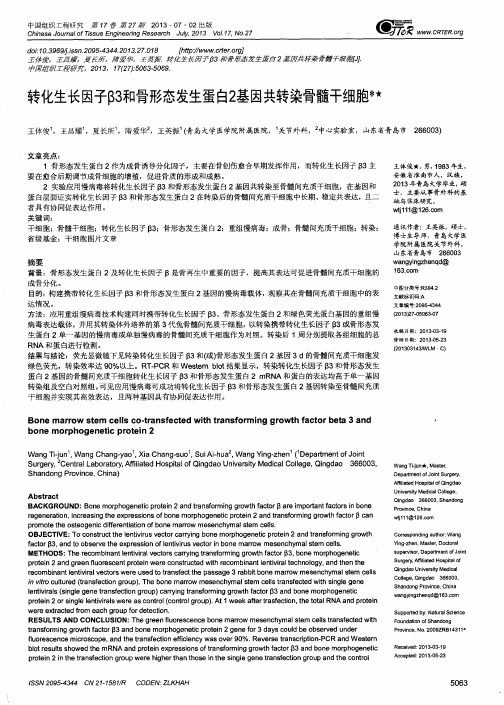 转化生长因子133和骨形态发生蛋白2基因共转染骨髓干细胞