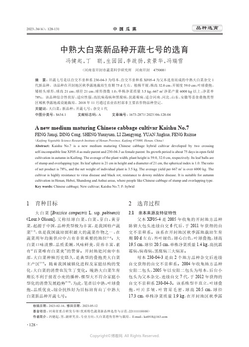 中熟大白菜新品种开蔬七号的选育
