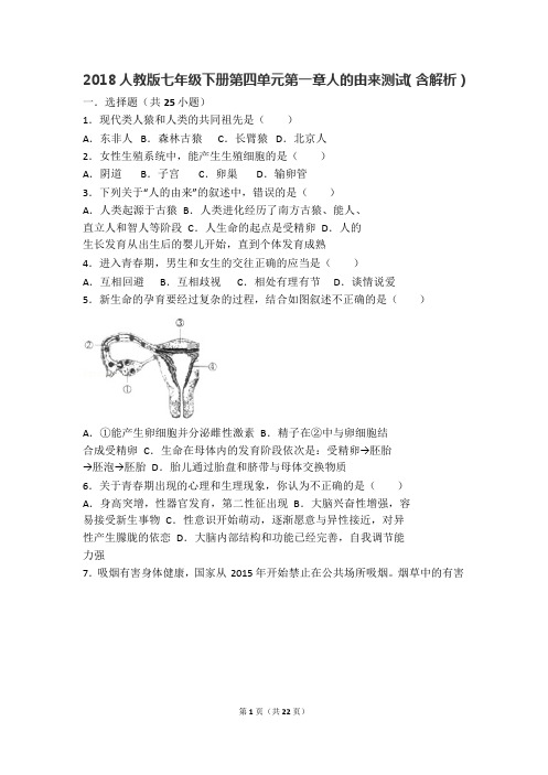 2018人教版生物七年级下册第四单元第一章人的由来测试(word版,含解析)