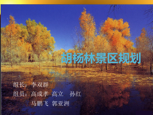 胡杨林风景区