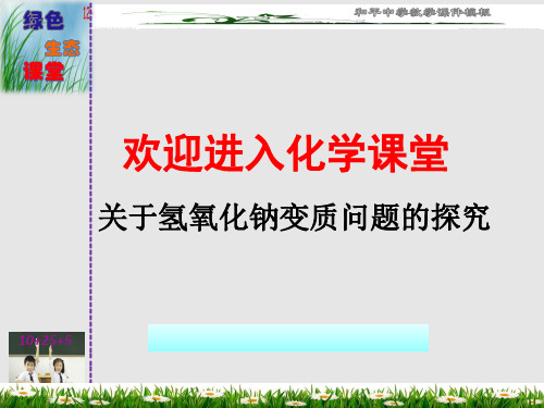 关于氢氧化钠变质问题的探究