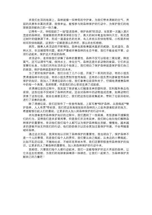 我参与的森林保护