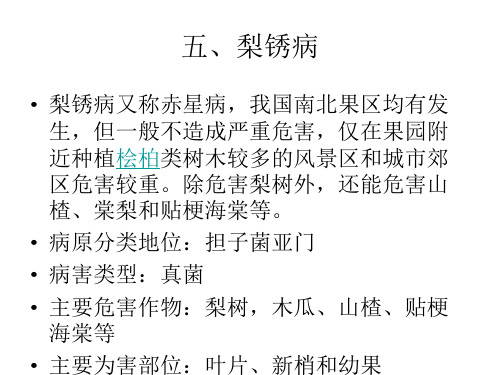 梨锈病