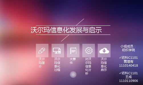 沃尔玛信息化发展与启示