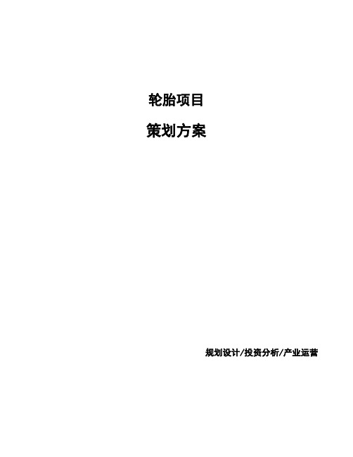 轮胎项目策划方案