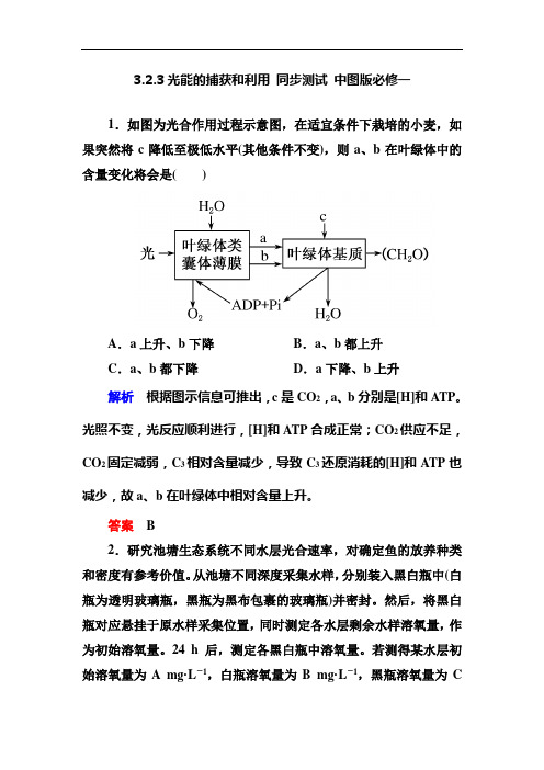 3.2.3光能的捕获和利用 同步测试 中图版必修一 (2)