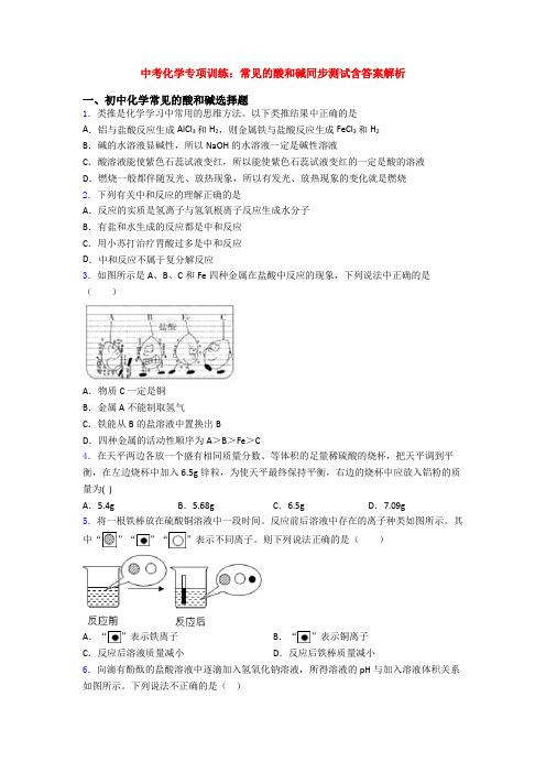 中考化学专项训练：常见的酸和碱同步测试含答案解析