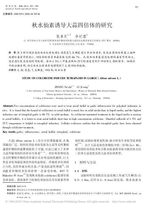 秋水仙素诱导大蒜四倍体的研究