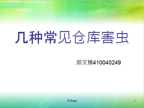 几种常见仓库害虫0224