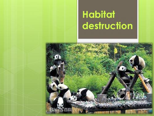 habitat destruction