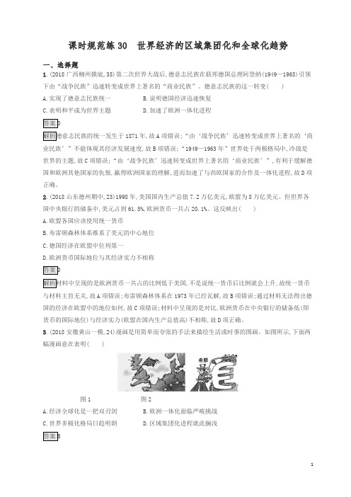 山东省2020版高考历史一轮复习30世界经济的区域集团化和全球化趋势新人教