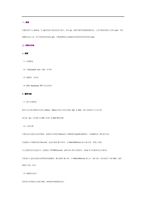 抗体的纯化