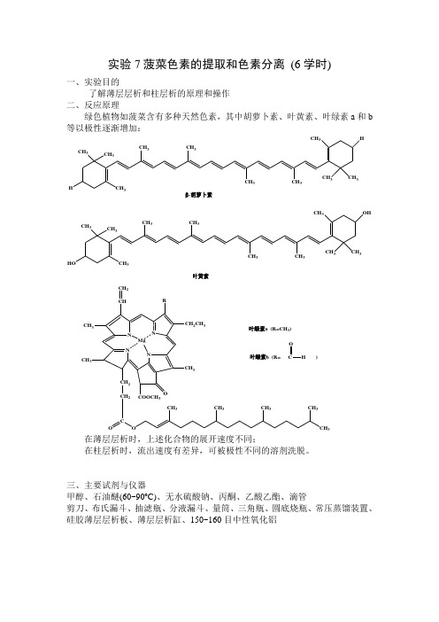 实验7菠菜色素的提取和色素分离