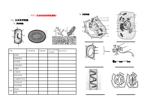 高考生物 二细胞全版押题