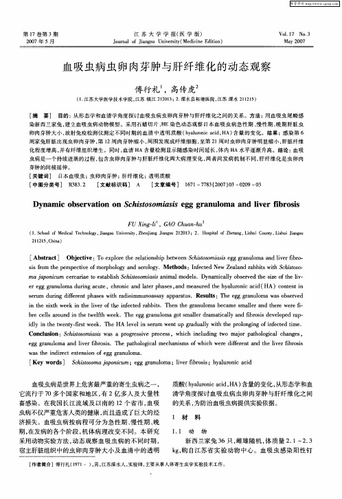 血吸虫病虫卵肉芽肿与肝纤维化的动态观察