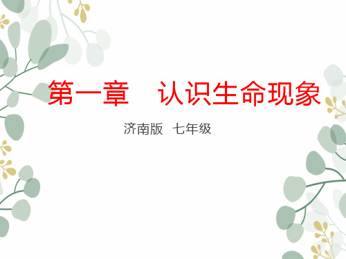 济南版认识生命现象