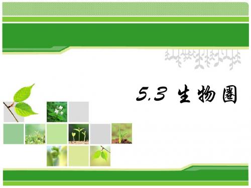 华师大 科学 七下 5.3 生物圈
