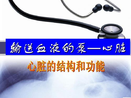 心脏PPT课件