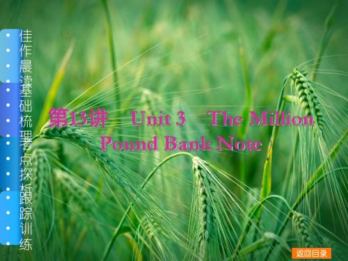 Unit 3 The Million Pound Bank Note课件 新人教版课件