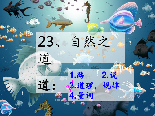 于老师-讲自然之道(公开课)PPT课件