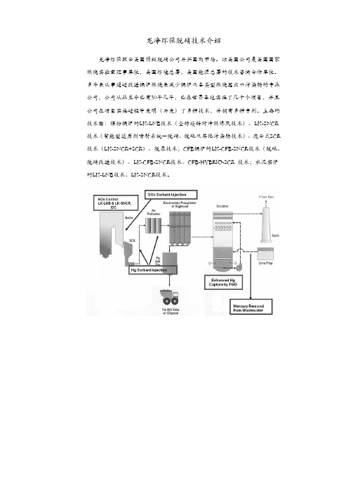 龙净脱硝技术简介