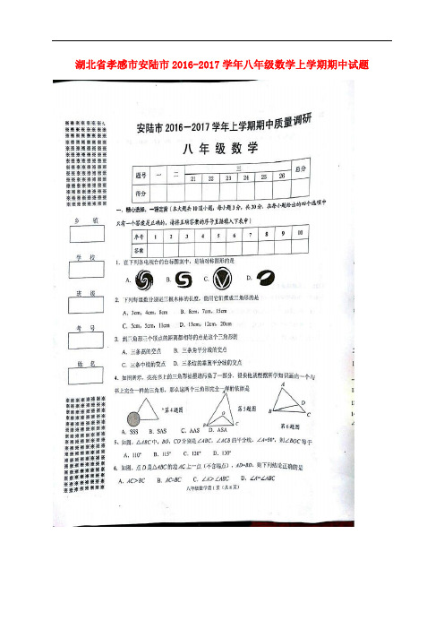湖北省孝感市安陆市八年级数学上学期期中试题(扫描版) 新人教版