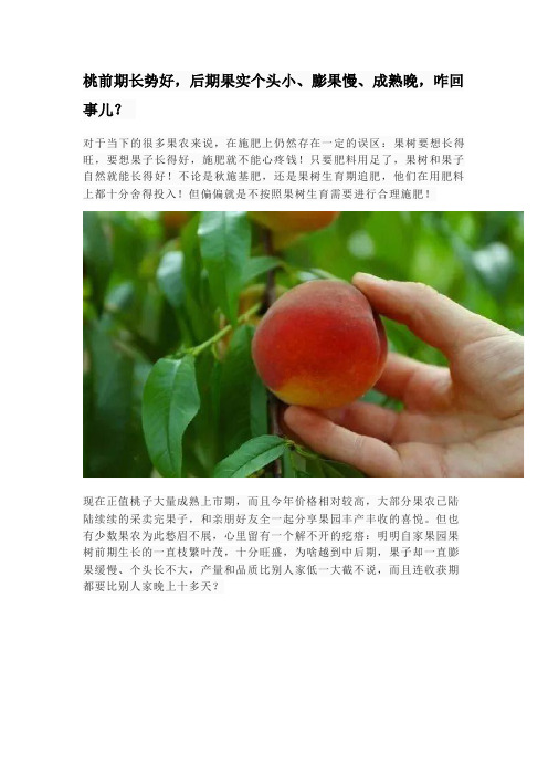 桃前期长势好,后期果实个头小、膨果慢、成熟晚,咋回事儿？
