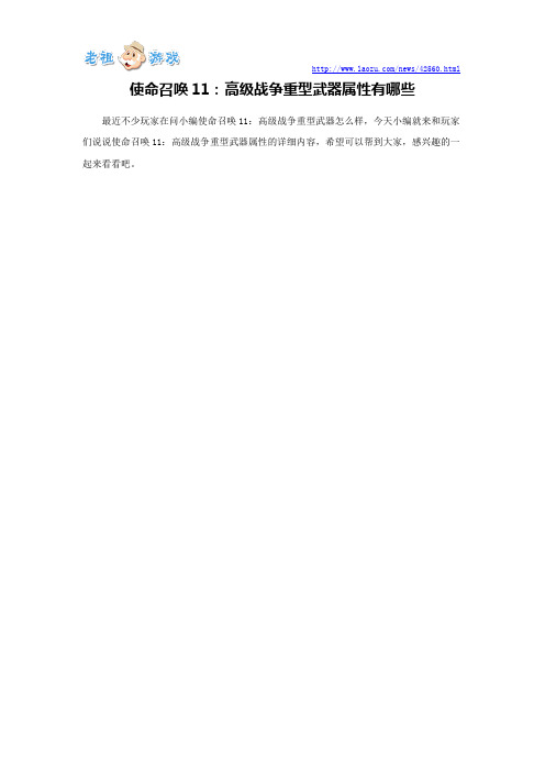 使命召唤11：高级战争重型武器属性有哪些