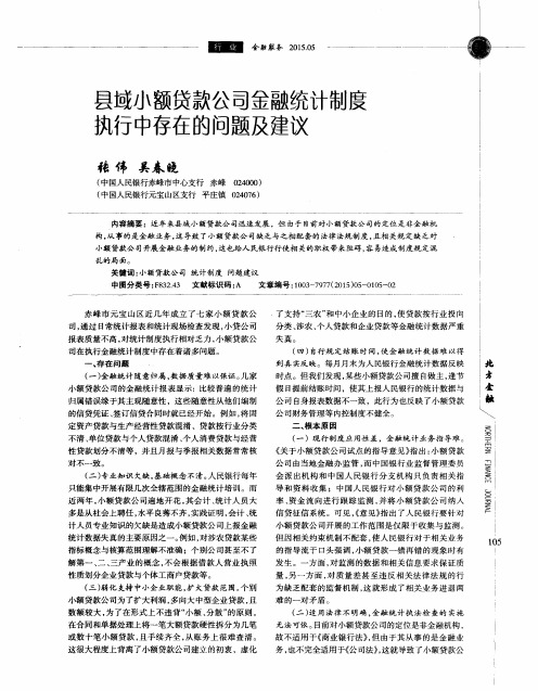 县域小额贷款公司金融统计制度执行中存在的问题及建议
