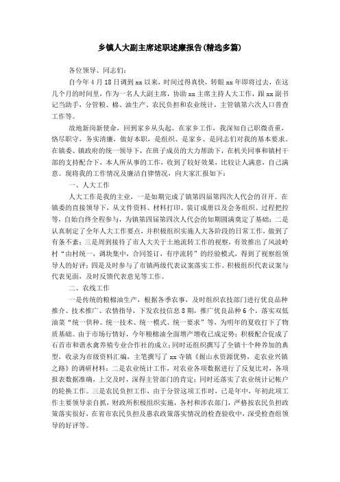 乡镇人大副主席述职述廉报告(精选多篇)