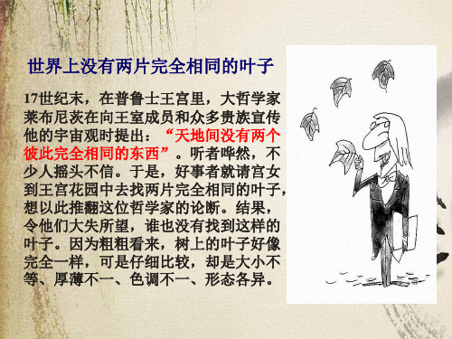 菱角的喜剧ppt21 课件下载