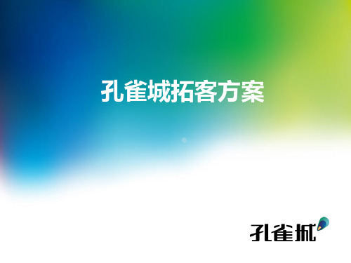 孔雀城拓客方案