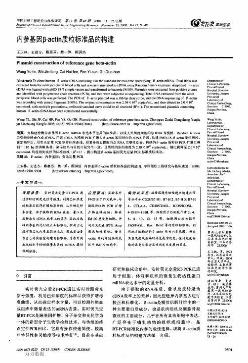 内参基因βactin质粒标准品的构建