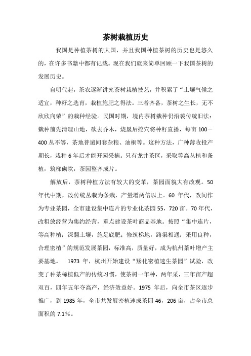 茶树栽植历史