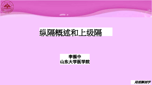 局部解剖学03-课件_36
