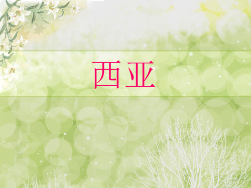 西亚(中东)