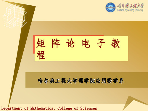 矩阵级数