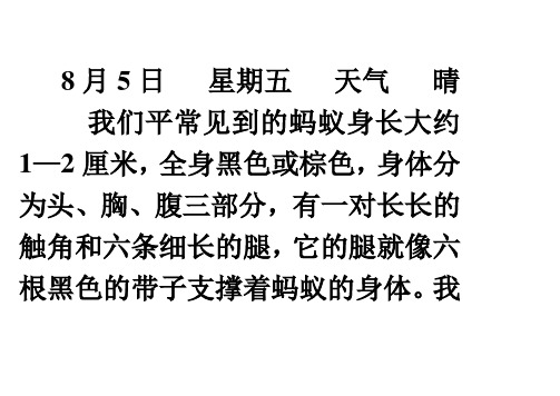 第四单元观察日记