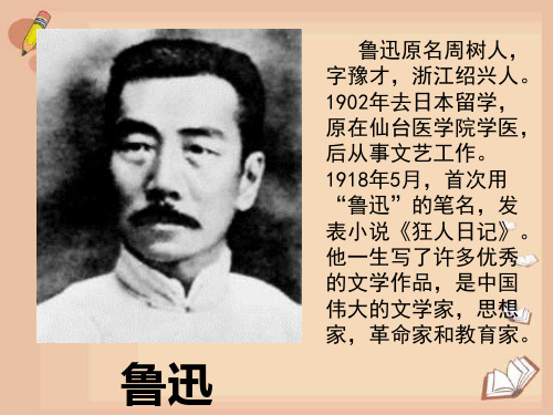 三年级上语文课件-猫是老虎的先生4 _沪教版(秋)
