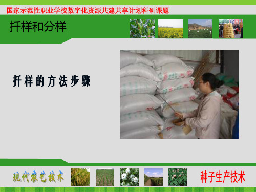 袋装扦样法最低要求