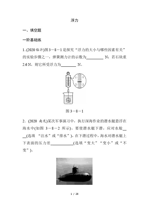2021年春人教版物理中考专题训练     浮力